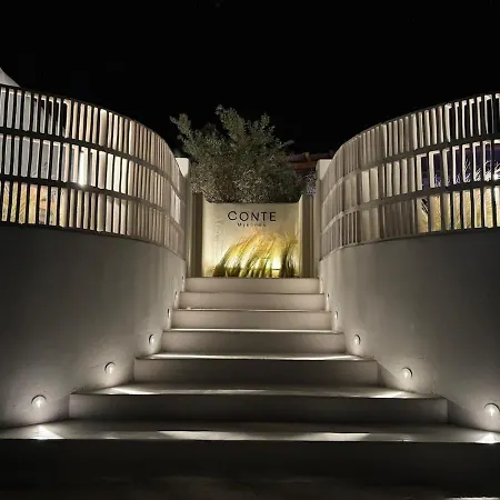 Conte Mykonos Ii 펜션 *